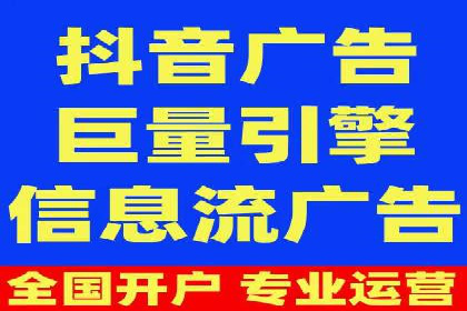 案例研究：信息流广告投放优化
